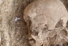 ДНК виявила походження людини, похованої в пам’ятнику кам’яного віку в Іспанії, але його релігія залишається загадкою