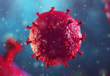 Рідкісний прорив у ремісії ВІЛ: уроки «Осло-пацієнта»