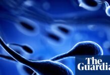 Подвійна загроза: як хімічні токсини та зміна клімату б’ють за світовим репродуктивним здоров’ям