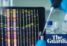 Наука проти права: чому суди не можуть встановити батьківство в однояйцевих близнюків