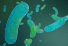 Пошук LUCA: У пошуках витоків всього життя