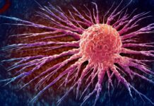 De eigen bacteriën van kanker in een wapen veranderen: nieuwe therapie valt de energievoorziening van tumoren aan