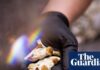 Галюциногени для лікування кокаїнової залежності? Можливо