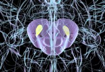 Viral Pemicu Parkinson?