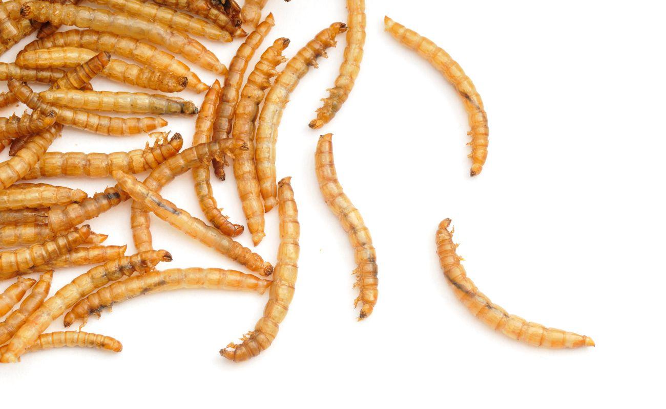 菏泽绿色 product or service image